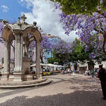 Carmo